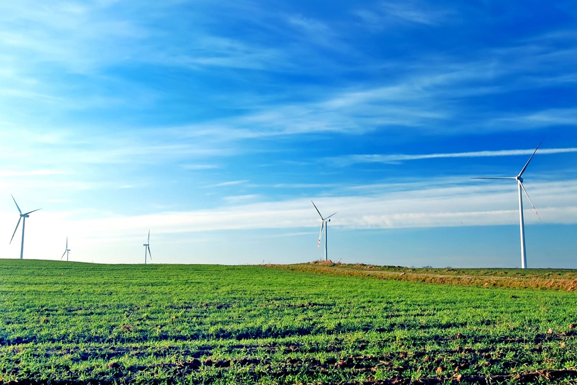 風力發電環境影響評估